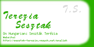 terezia sesztak business card