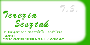terezia sesztak business card